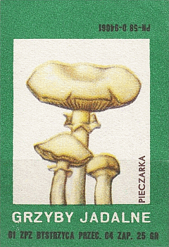 Z&uuml;ndholzetikett