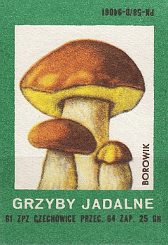 Z&uuml;ndholzetikett