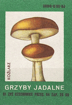 Z&uuml;ndholzetikett