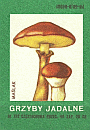 Z&uuml;ndholzetikett