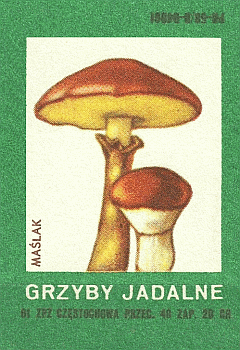 Z&uuml;ndholzetikett