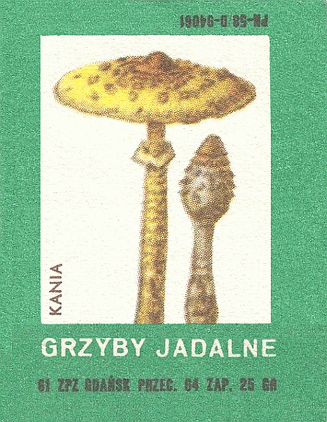 Z&uuml;ndholzetikett