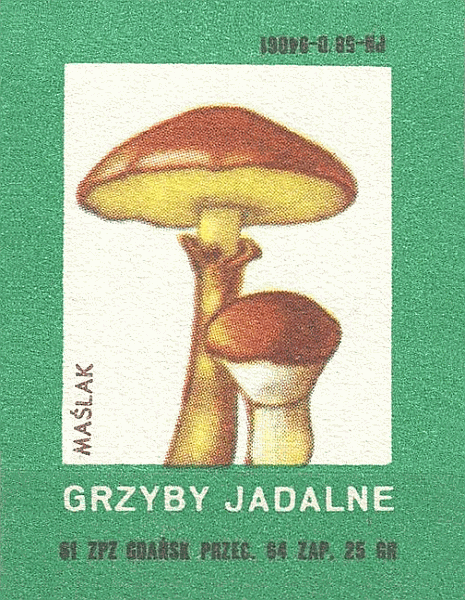 Z&uuml;ndholzetikett