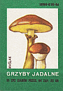Z&uuml;ndholzetikett