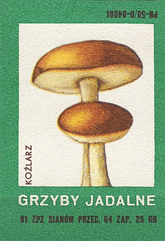 Z&uuml;ndholzetikett