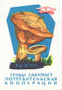 Z&uuml;ndholzetikett