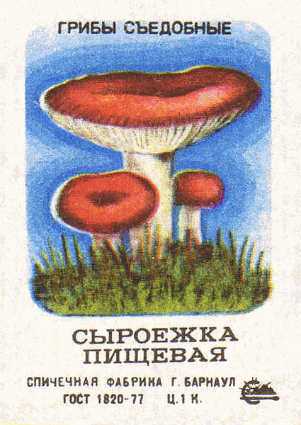 Z&uuml;ndholzetikett