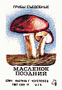 Z&uuml;ndholzetikett