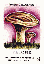 Z&uuml;ndholzetikett