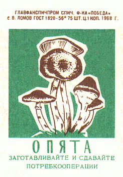 Z&uuml;ndholzetikett