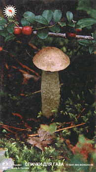 Z&uuml;ndholzetikett