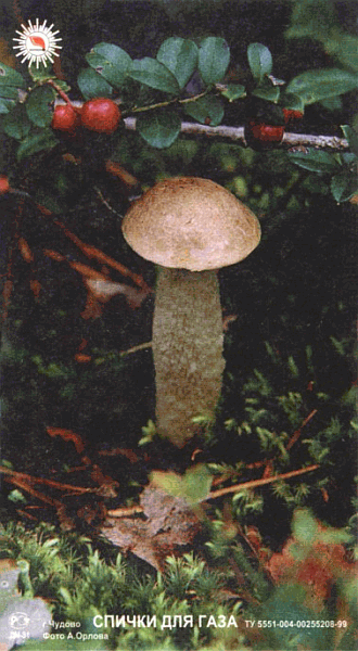 Z&uuml;ndholzetikett