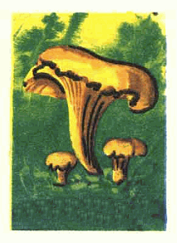 Z&uuml;ndholzetikett