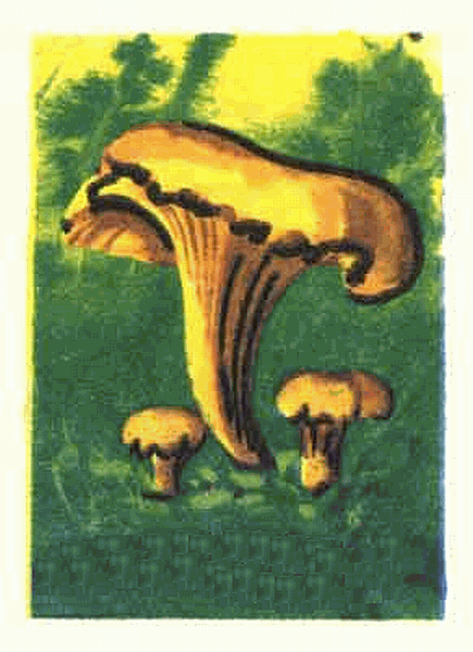 Z&uuml;ndholzetikett