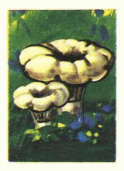Z&uuml;ndholzetikett